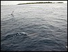 DSCN0043.JPG